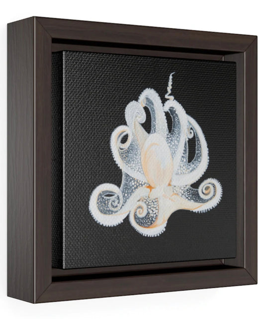 White Octopus