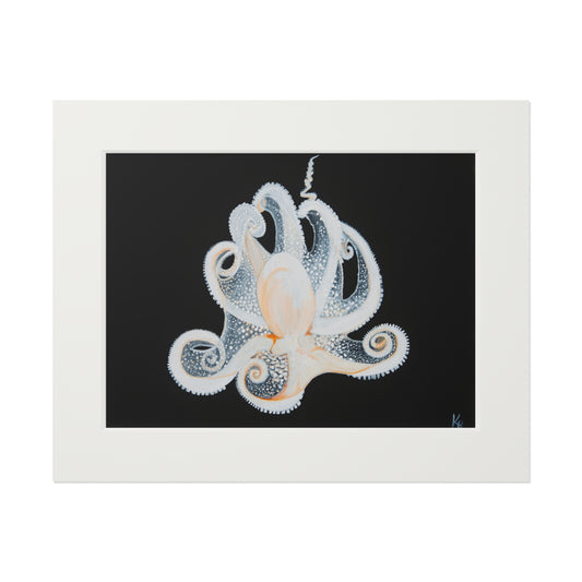 White Octopus 11x14" Mat Giclee Prints