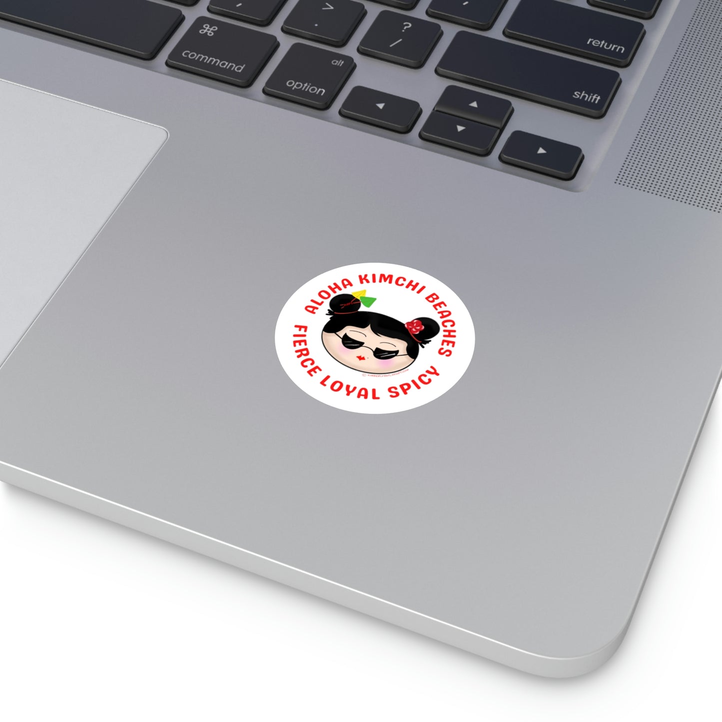 Aloha Kimchi Beaches Vinyl Sticker!!