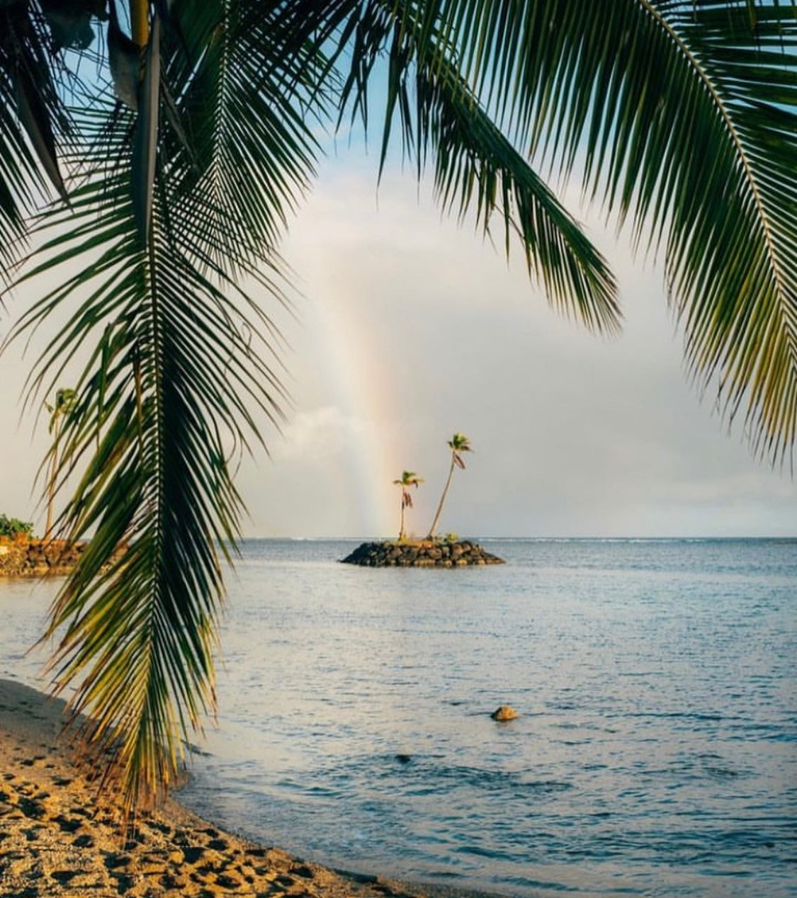 Kahala, Oahu 16x12x.5"