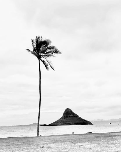 Mokoli'i (Chinaman's Hat) 8x10"