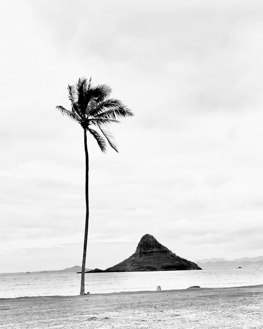 Mokuli'i Island (Chinaman's Hat) 12 x 12" without mat