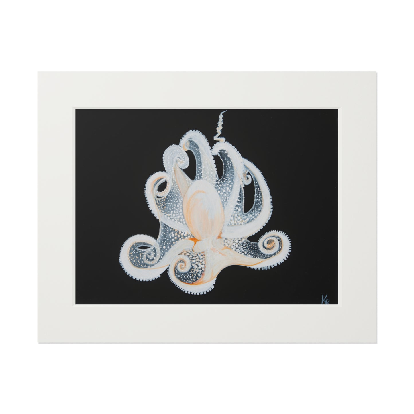 White Octopus 11x14" Mat Giclee Prints