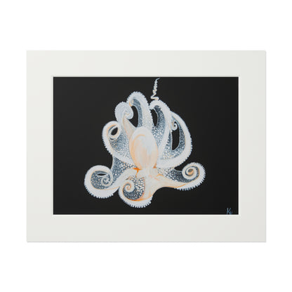 White Octopus 11x14" Mat Giclee Prints