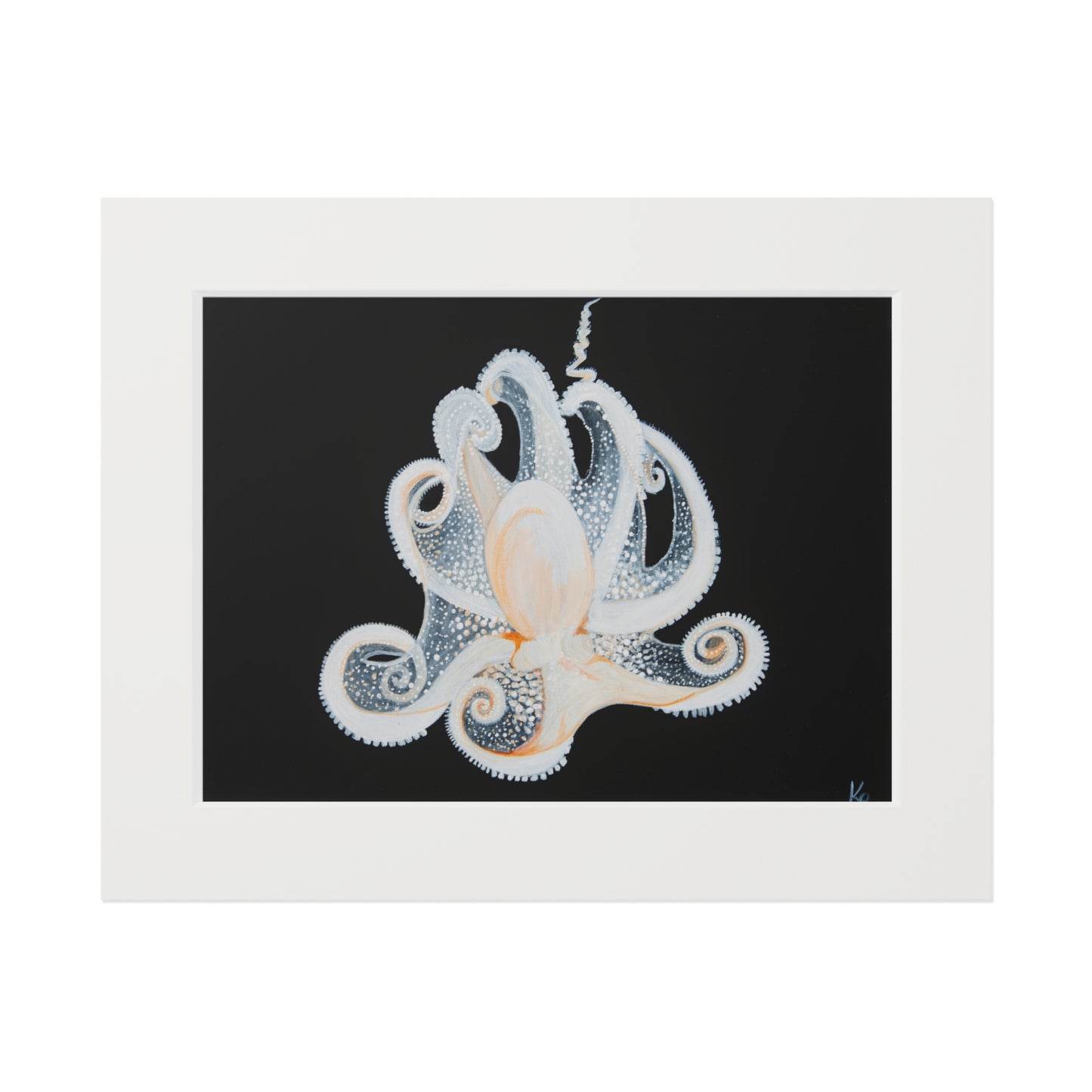 White Octopus 11x14" Mat Giclee Prints