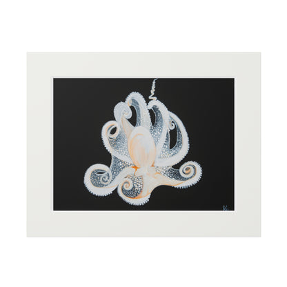 White Octopus 11x14" Mat Giclee Prints