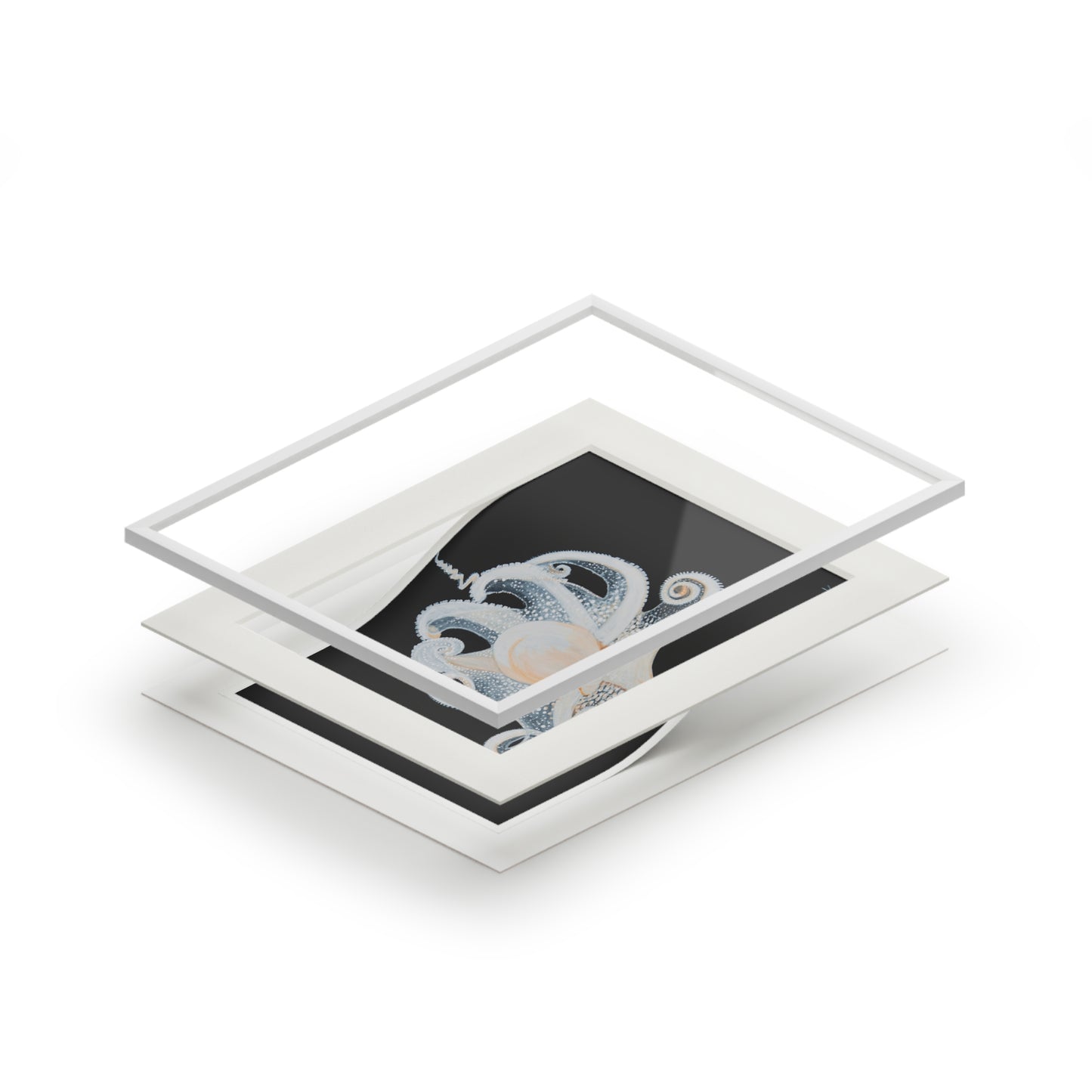 White Octopus 11x14" Mat Giclee Prints