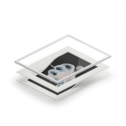 White Octopus 11x14" Mat Giclee Prints