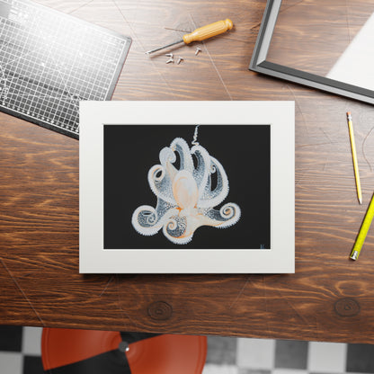 White Octopus 11x14" Mat Giclee Prints