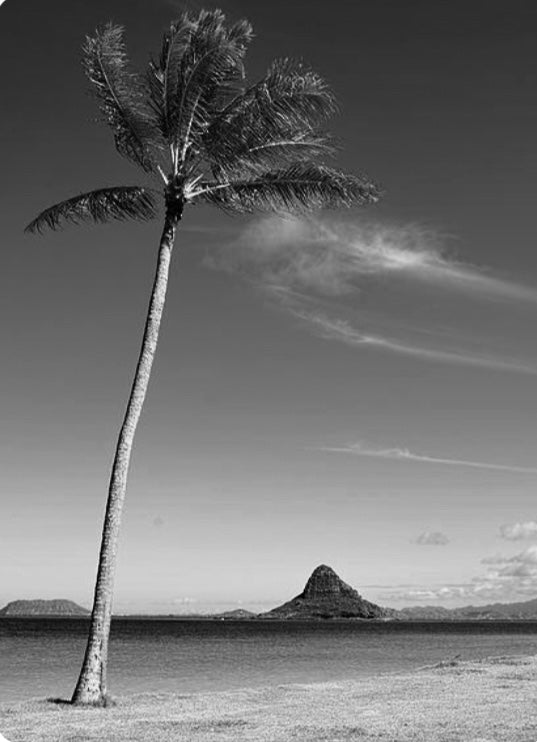 Chinaman’s Hat  12”x12"