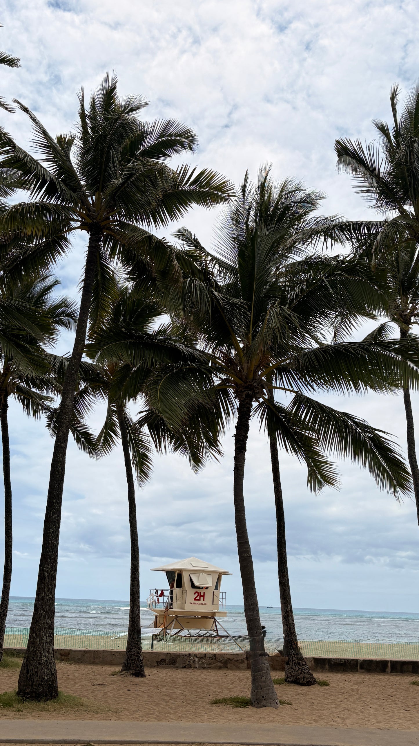 Kaimana Beach Lifeguard stand, Waikiki  12”x12"